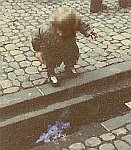 Vorgeschichte der Freiburger Bächleboote