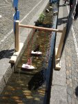 6.Baechleboot-Rennen